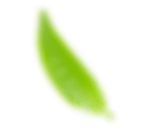 h1-leaf.png
