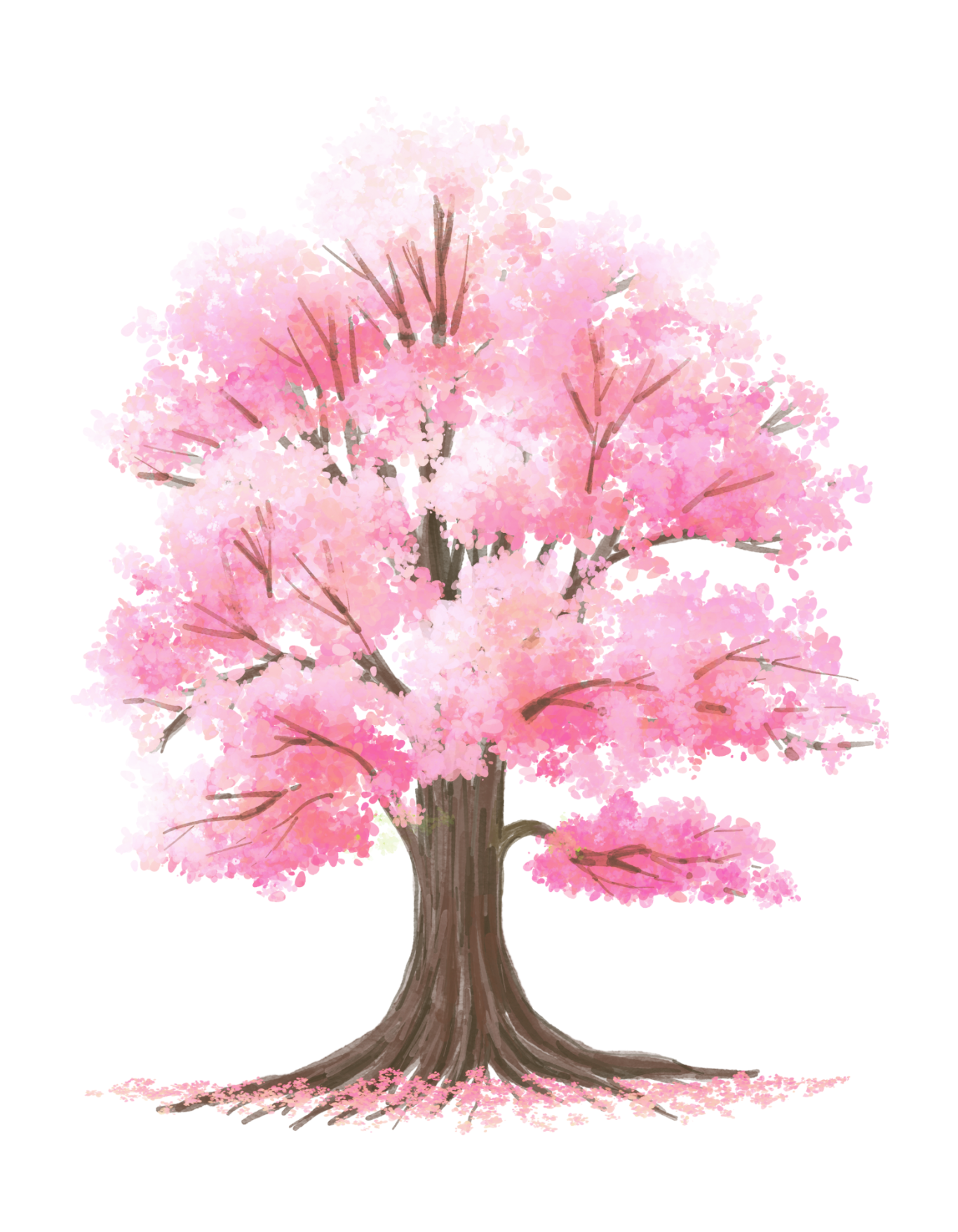 Árbol de cerezo japonés en flor durante la primavera Árbol de cerezo japonés en flor durante la primavera